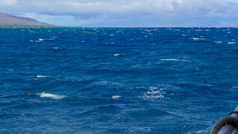 海洋吸碳量驚人 CO2將可存海底