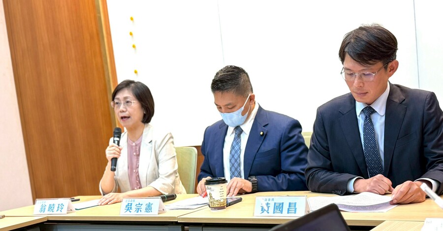 憲訴法釋憲說明會 大法官作球給綠？