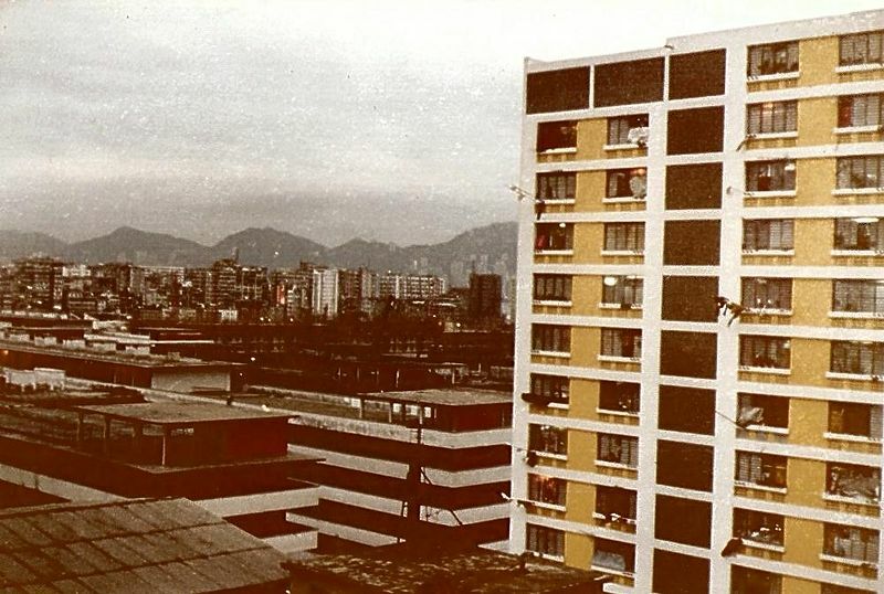 租屋市場透明化 崔媽媽：推租稅大赦