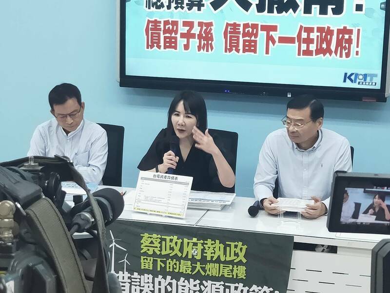 反對撥補勞保台電 藍籲檢討財務
