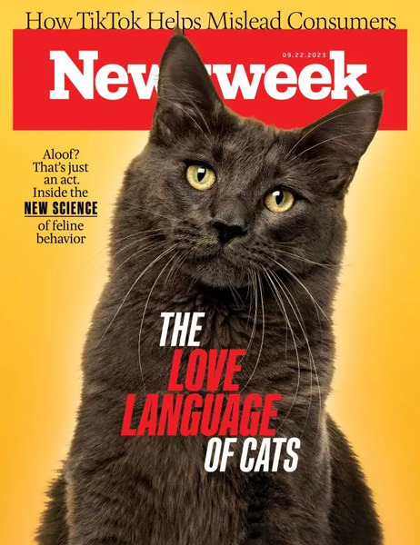 貓咪把飼主當僕人？ 研究：它其實很愛你（新聞周刊Newsweek）