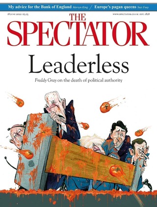 強權還是民粹？ 選民陷兩難（觀察者The Spectator）