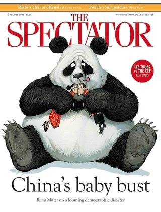 中國經濟風暴已形成（觀察者 The Spectator）