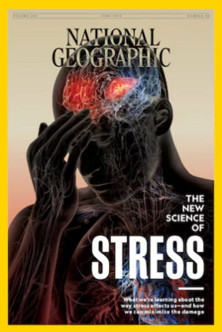 壓力重創身心靈 科學家提醒補充營養（國家地理 National Geographic）