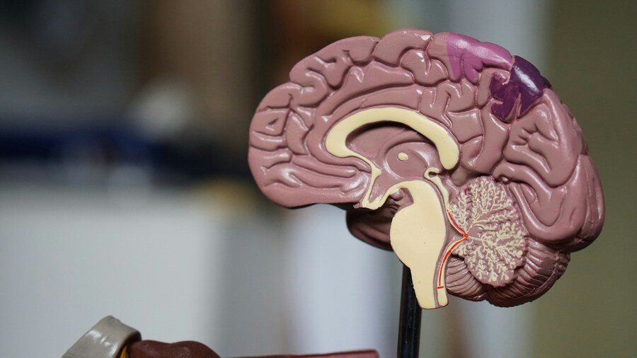 諾丁漢大學發現一種奈米孔技術測試方法,其可以在手術後兩小時內提供腫瘤診斷結果。(Photo by Robina Weermeijer on Unsplash under C.C License)
