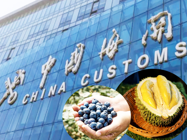 中國大陸是全球最大的水果生產以及進口國(2024年水果總進口量為768.71萬公噸),未來中國人的「熱帶水果自由」將不再只是夢想!(網路截圖)