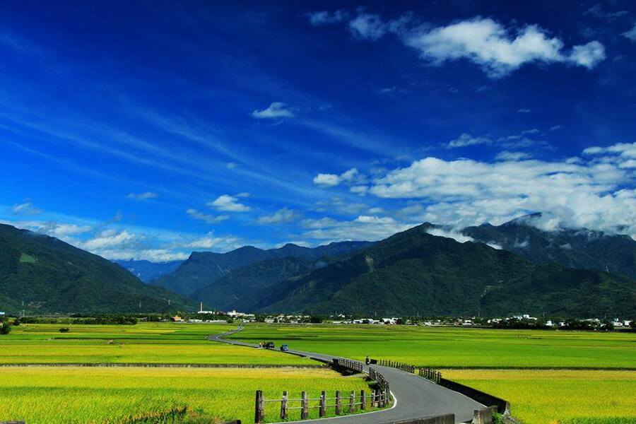 在台東池上的經驗為例,台灣僅有一望無際的千頃良田沒有一根電線桿,造就了池上「大景無價」。(網路截圖)
